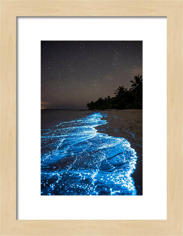 Luminous Tides Beneath Celestial Skies