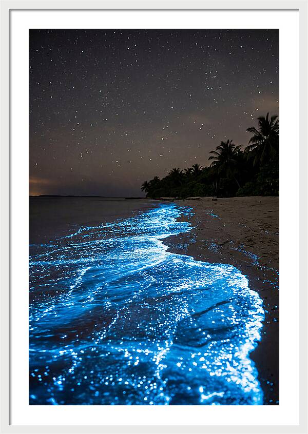 Luminous Tides Beneath Celestial Skies