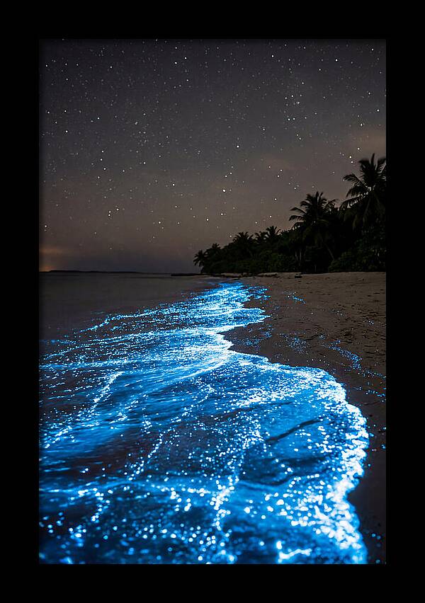 Luminous Tides Beneath Celestial Skies