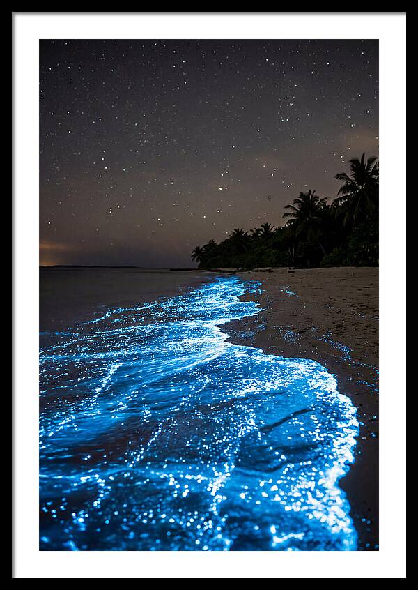 Luminous Tides Beneath Celestial Skies