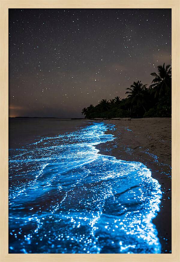 Luminous Tides Beneath Celestial Skies