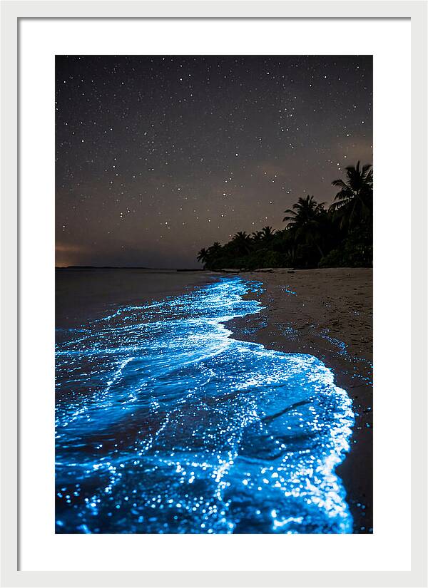 Luminous Tides Beneath Celestial Skies