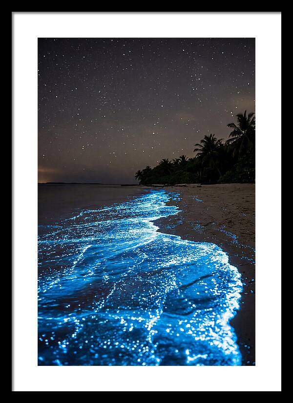 Luminous Tides Beneath Celestial Skies
