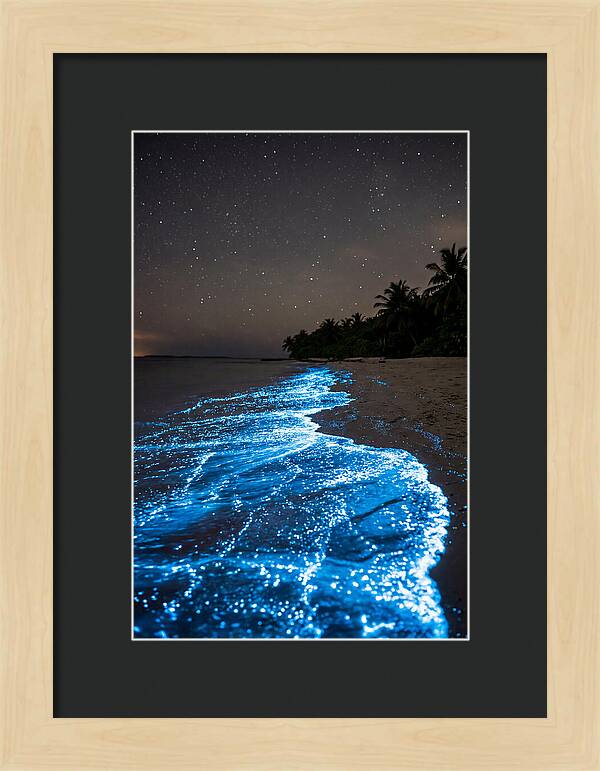 Luminous Tides Beneath Celestial Skies