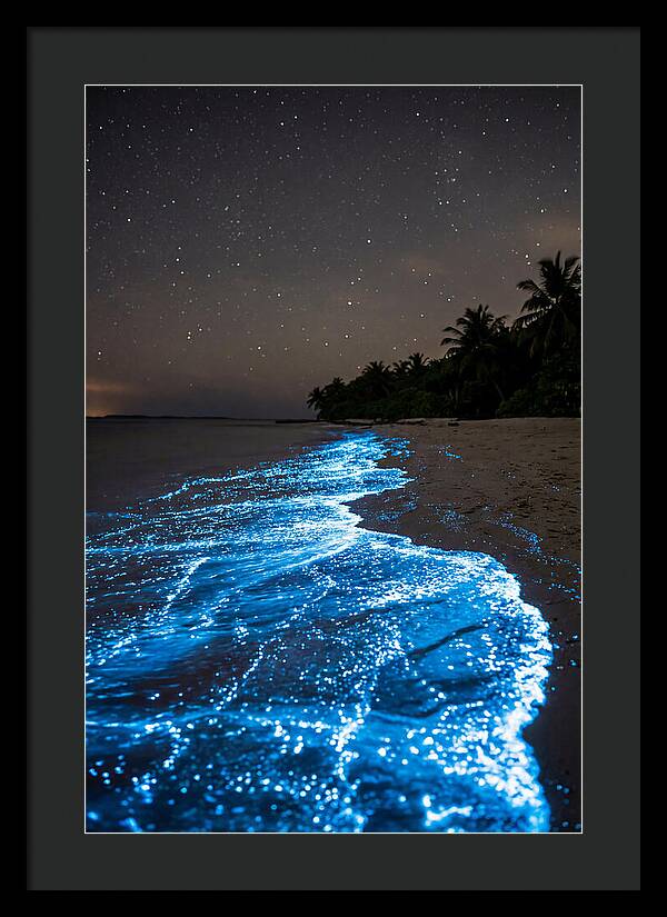Luminous Tides Beneath Celestial Skies