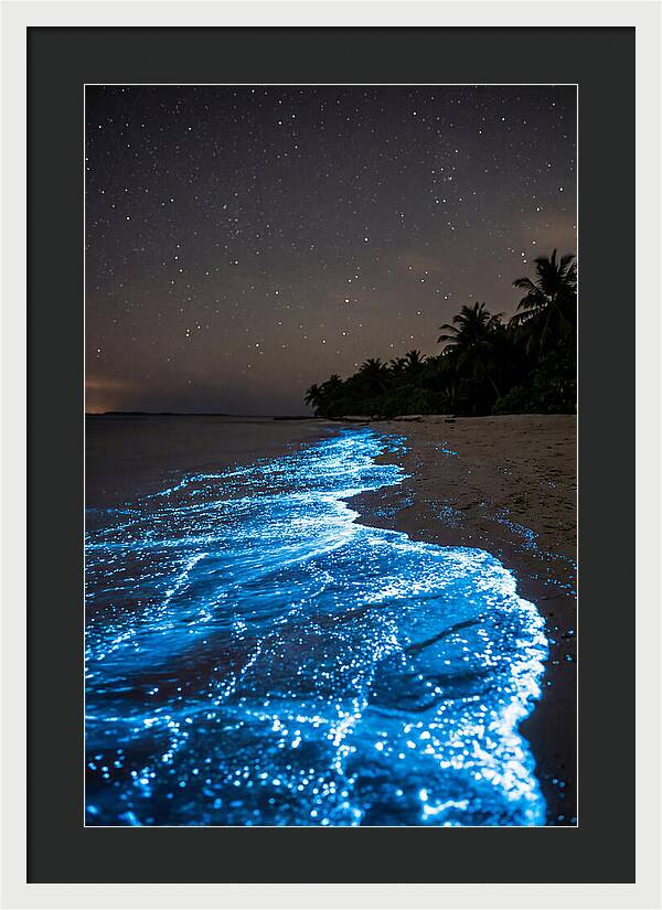 Luminous Tides Beneath Celestial Skies