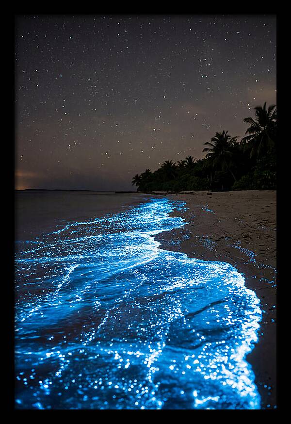Luminous Tides Beneath Celestial Skies