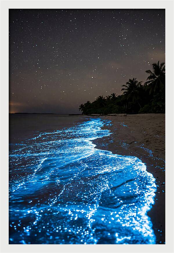 Luminous Tides Beneath Celestial Skies