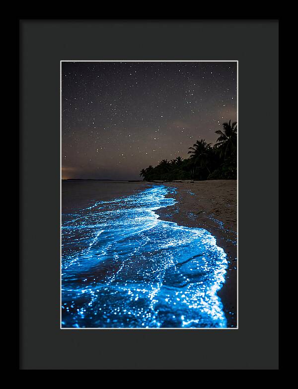 Luminous Tides Beneath Celestial Skies