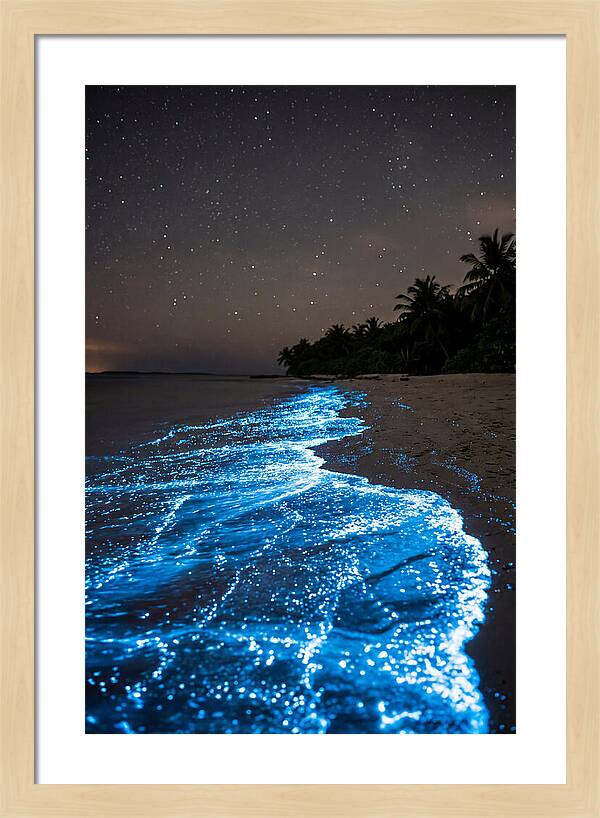 Luminous Tides Beneath Celestial Skies