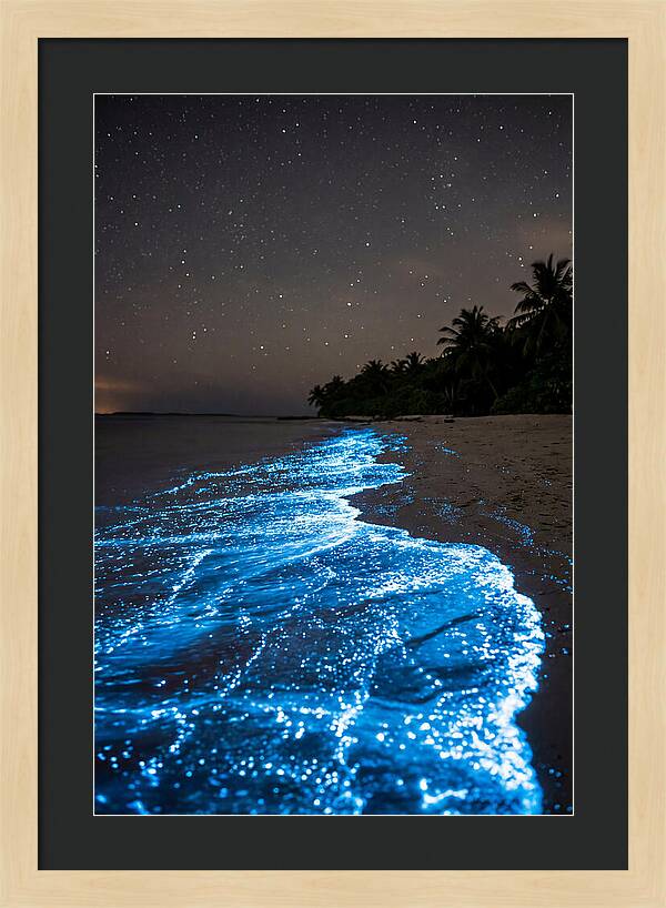 Luminous Tides Beneath Celestial Skies
