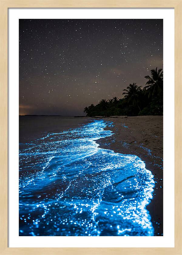 Luminous Tides Beneath Celestial Skies