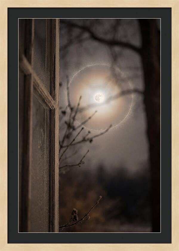 Lunar Halo With Ice Crystal Ring