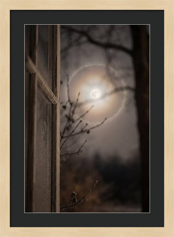 Lunar Halo With Ice Crystal Ring