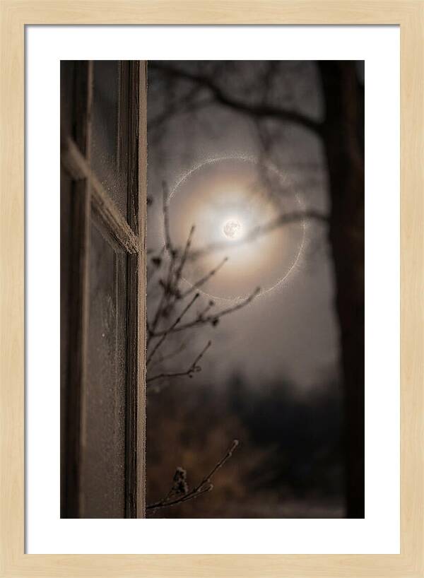 Lunar Halo With Ice Crystal Ring
