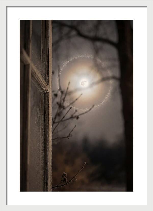 Lunar Halo With Ice Crystal Ring