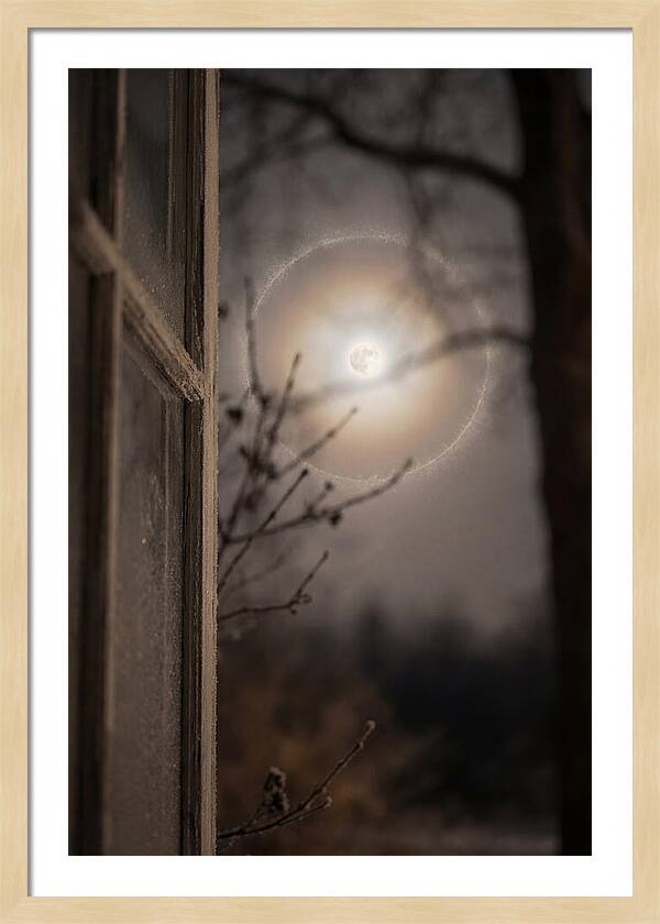 Lunar Halo With Ice Crystal Ring