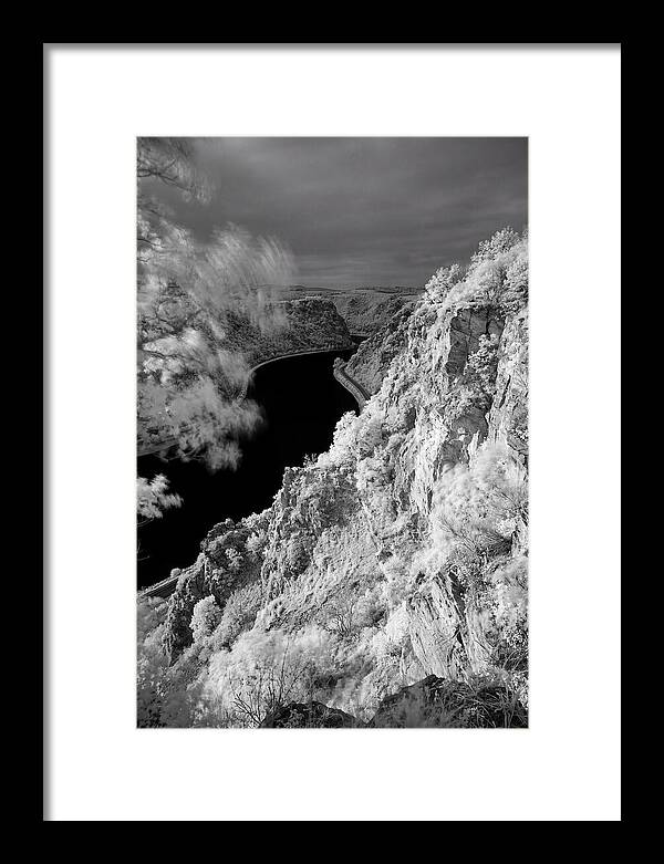 Lush Cliffs Above The Rhine