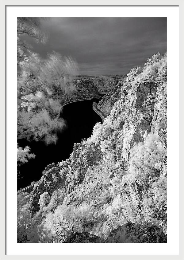 Lush Cliffs Above The Rhine