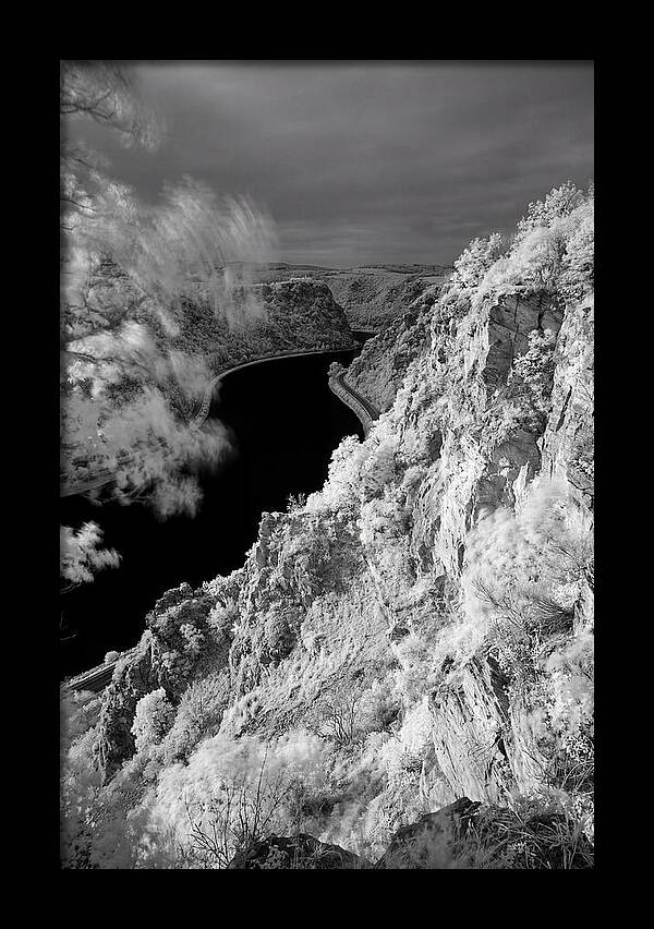 Lush Cliffs Above The Rhine
