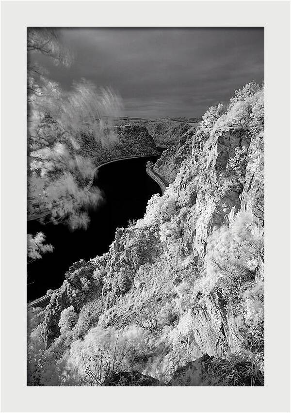 Lush Cliffs Above The Rhine