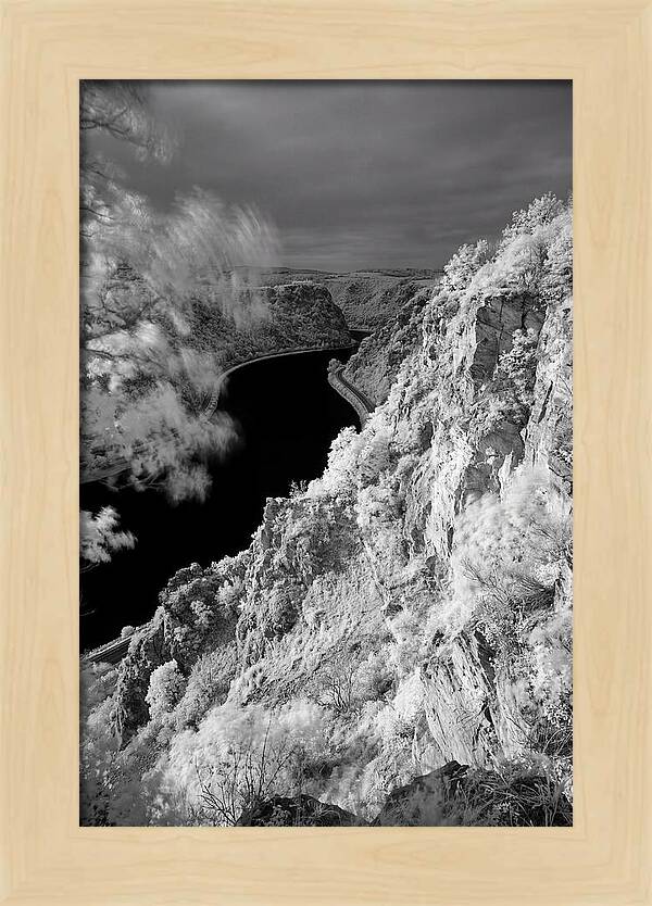 Lush Cliffs Above The Rhine
