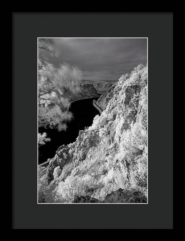 Lush Cliffs Above The Rhine