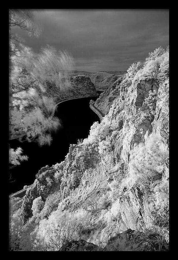 Lush Cliffs Above The Rhine
