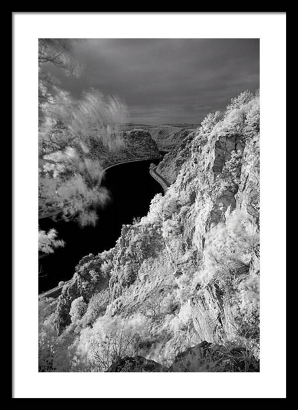 Lush Cliffs Above The Rhine