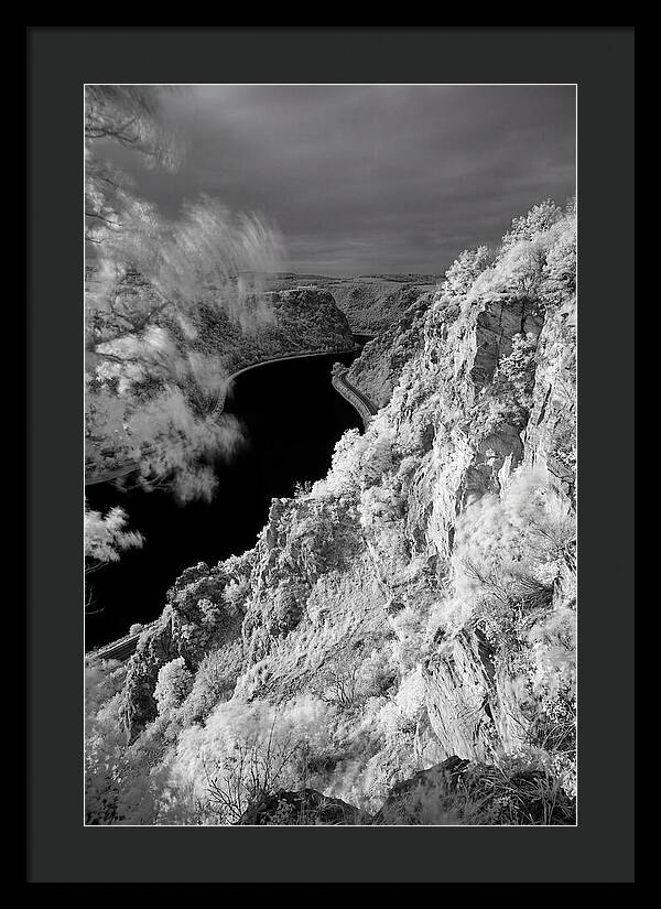 Lush Cliffs Above The Rhine