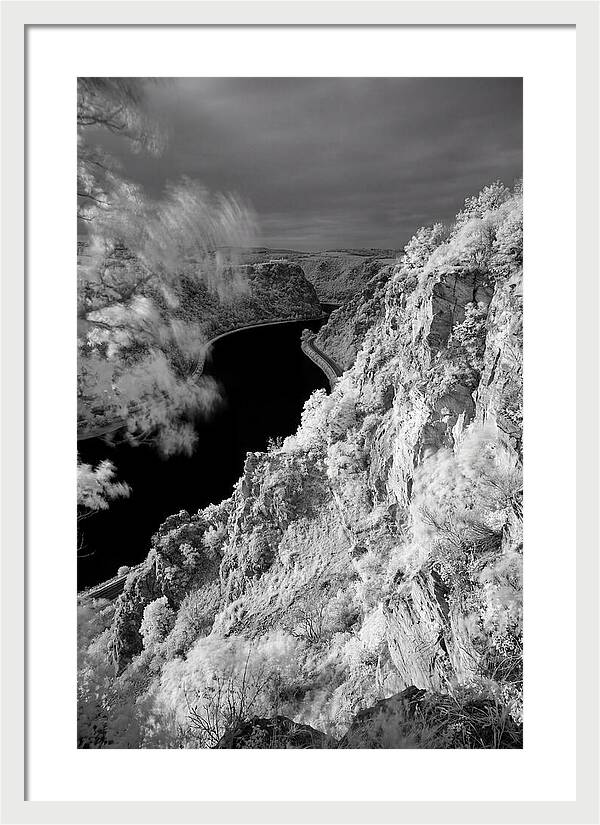 Lush Cliffs Above The Rhine