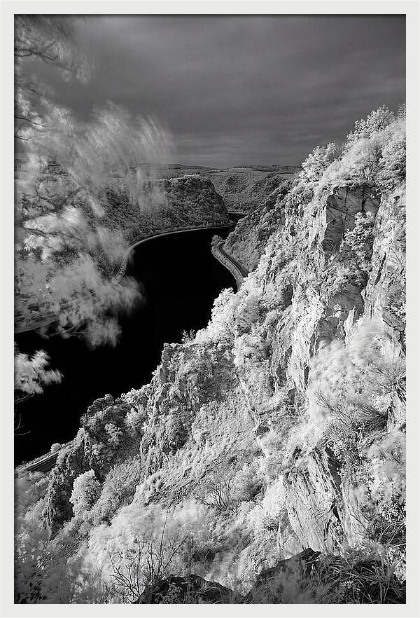 Lush Cliffs Above The Rhine