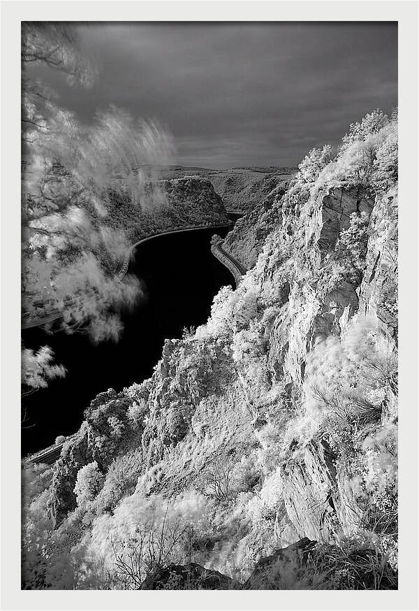 Lush Cliffs Above The Rhine