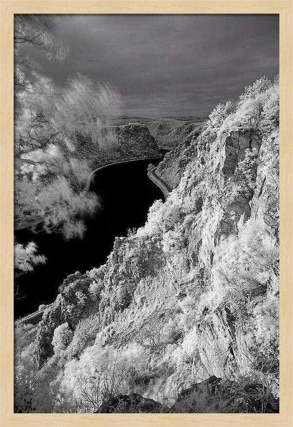 Lush Cliffs Above The Rhine
