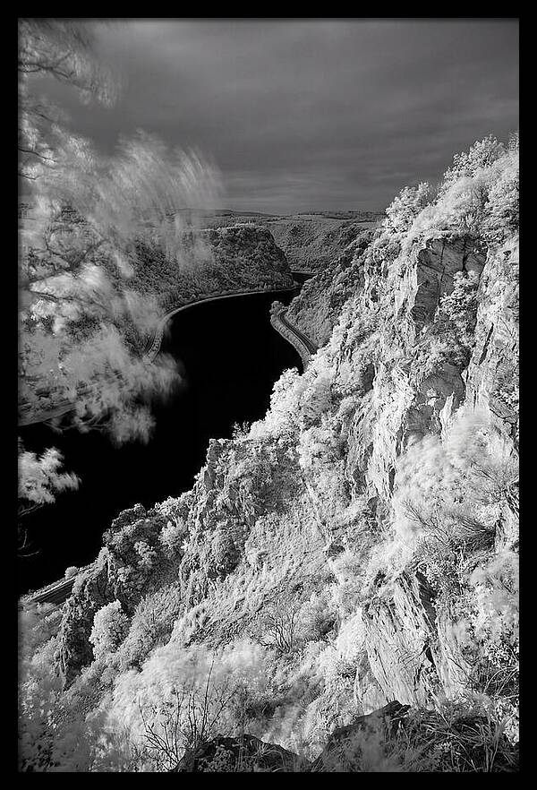 Lush Cliffs Above The Rhine
