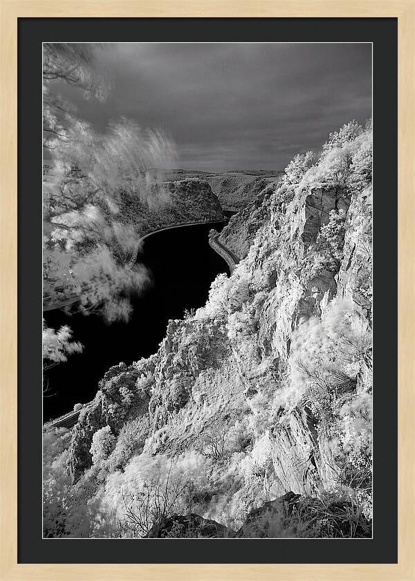 Lush Cliffs Above The Rhine