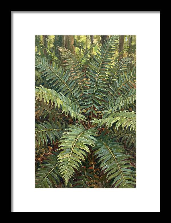 Lush Fern Fronds In Nature
