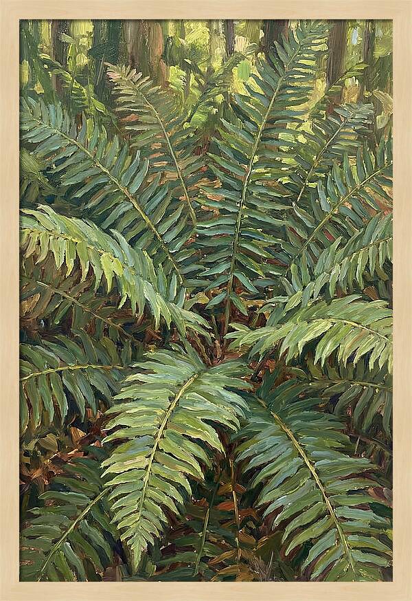 Lush Fern Fronds In Nature