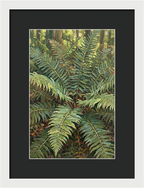 Lush Fern Fronds In Nature