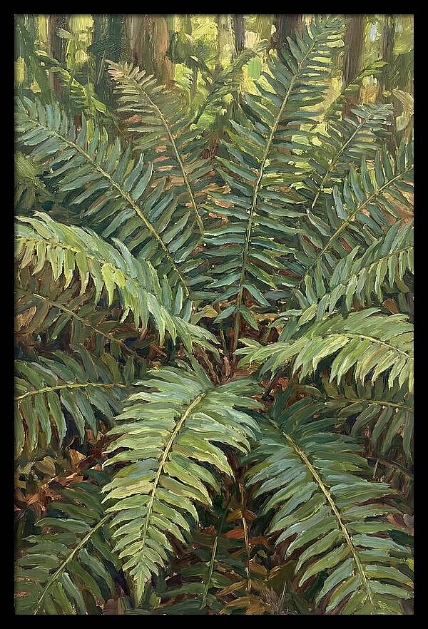 Lush Fern Fronds In Nature