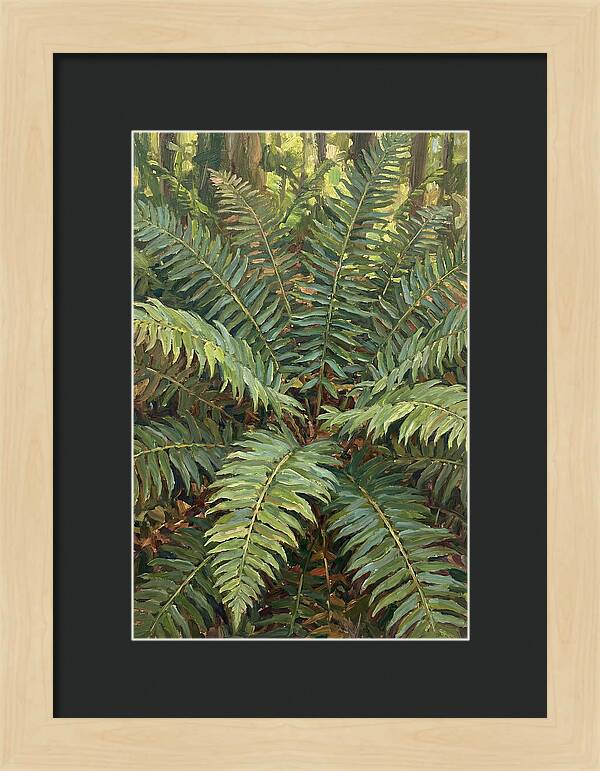 Lush Fern Fronds In Nature