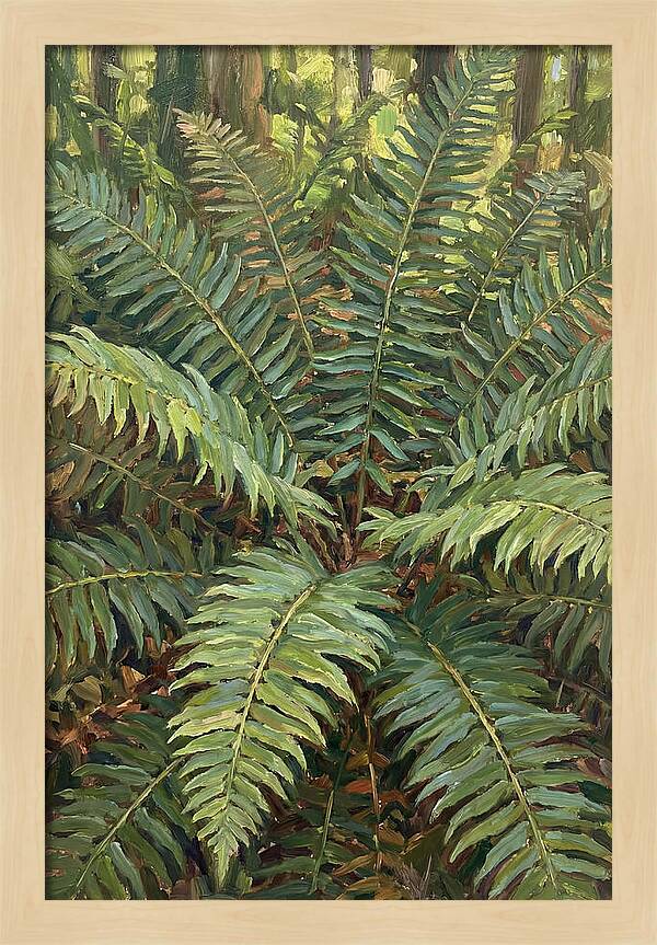 Lush Fern Fronds In Nature