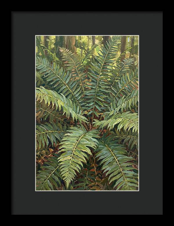 Lush Fern Fronds In Nature