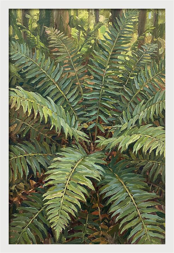 Lush Fern Fronds In Nature