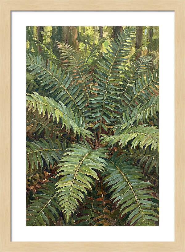 Lush Fern Fronds In Nature