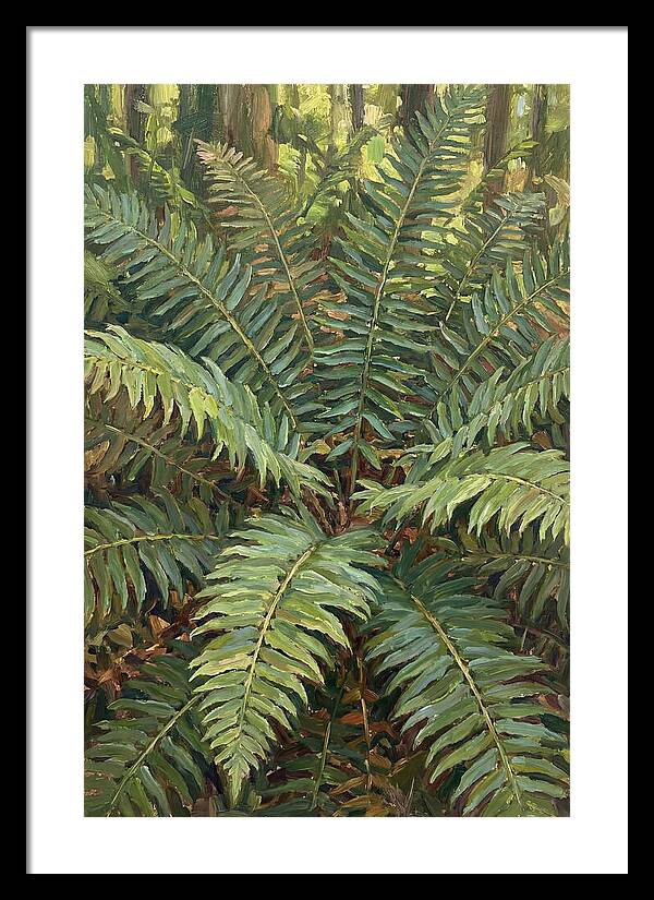 Lush Fern Fronds In Nature