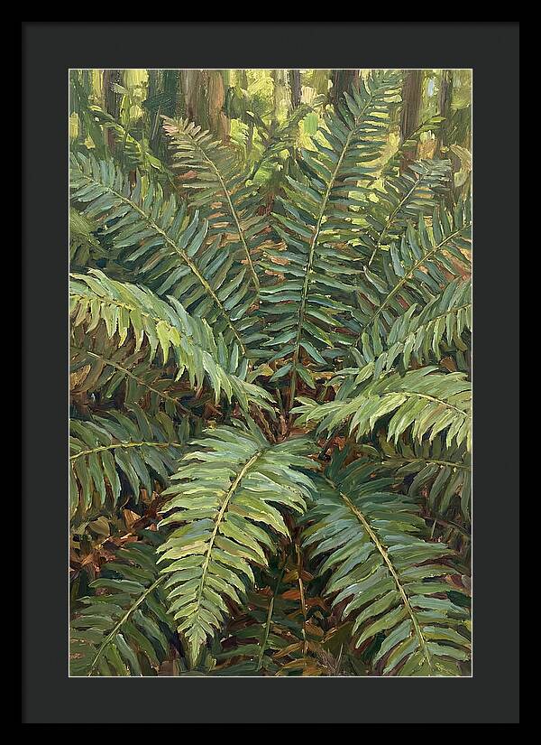 Lush Fern Fronds In Nature