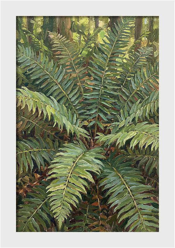 Lush Fern Fronds In Nature