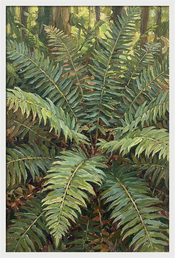 Lush Fern Fronds In Nature