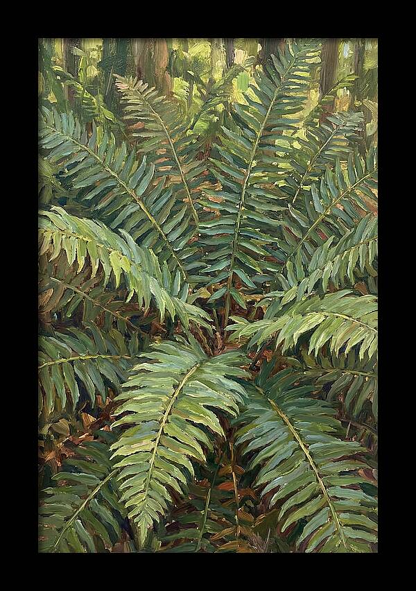 Lush Fern Fronds In Nature